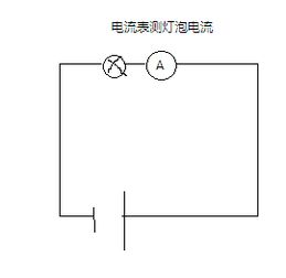 物理电路怎么知道电表接哪个量程