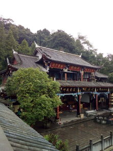 青城山前山一日游