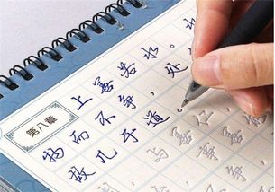 练字加盟项目推荐2020排行榜（练字加盟店排行榜）