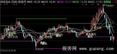 请股票大师帮忙解读下这个 指标公式 是什么意思 有什么用?不胜感激