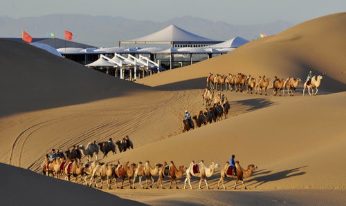 五一适合去内蒙古旅游吗