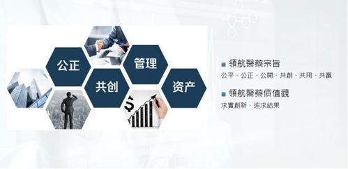 领航医药公司他们的模式是什么？