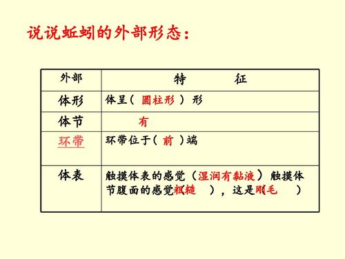 论文查重字数差异案例分析