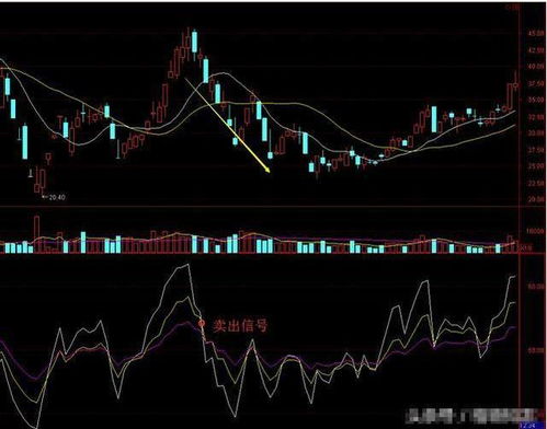 股市中RSI代表什么意思？怎么看？