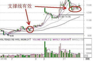 中国股市为什么进行不了价值投资