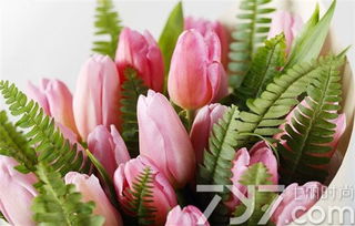 郁金香的花语是什么 不同颜色郁金香寓意带图片 