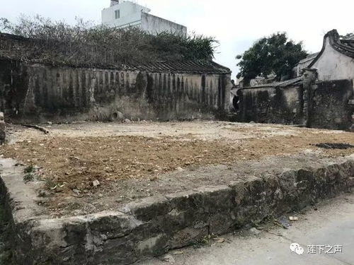 佘村免费停车场,初次去南京佘村游玩,有哪些靠谱的攻略可以分享?