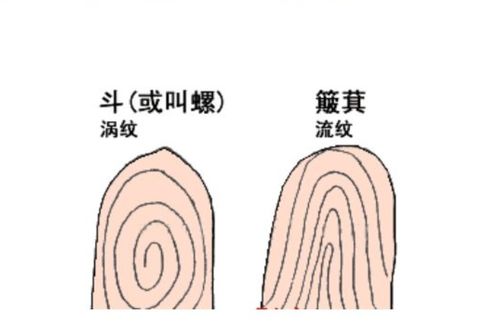 你的双手有几个螺,几个簸箕 中科院院士揭开3个重大发现