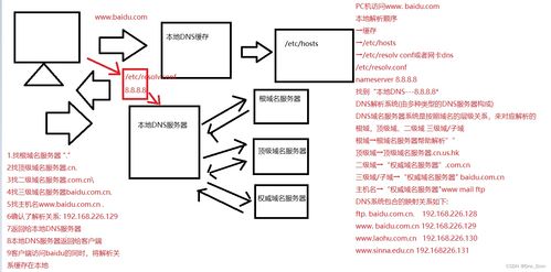 域名解析服务器DNS的作用(域名解析dns的工作原理)