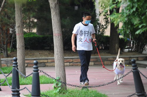 养狗人士身穿抵制投毒标语T恤遛狗 震慑投毒者