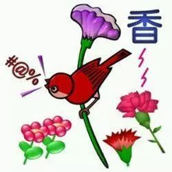 带花字的谚语(带花字的谚语)