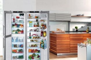 冰箱冬天温度应该调到几档 冰箱怎么用省电