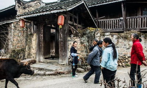 浙江的一个古村火了,靠婚嫁表演吸引游客,是一个避暑的好地方