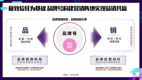 JN江南体育：暑期互联网名企商业分析项目实训，助力商业分析/市场营销申请(图1)