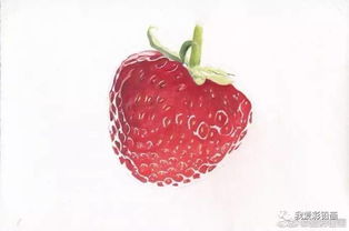 这么可爱的草莓 你不想画下来吗 
