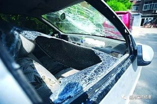 男子在蒲城街头砸车窗盗窃 欲再作案指缝玻璃渣露马脚