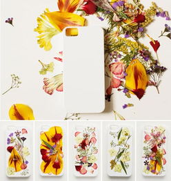 如何用压平的鲜花制作漂亮的iphone手机壳