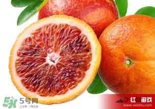 血橙多少钱一斤 四川血橙多少钱一斤
