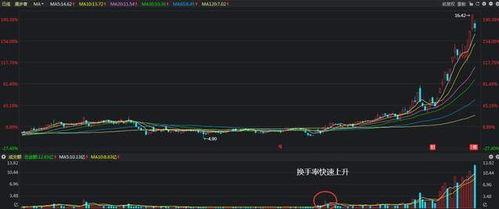 长白山股票换手率达到了24%，意味着什么？