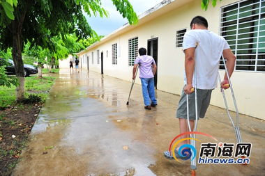 海南8名残疾人将IT公司由小做大 产品获国际认证