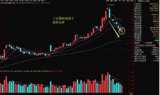 12.9元按5%跌停是多少