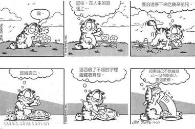 漫画版加菲猫的五大特色 动漫世纪 