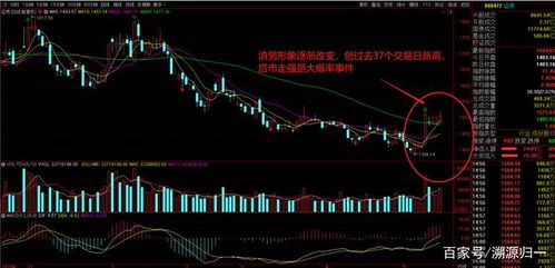 上周五A股探底回升 后市继续上行是大概率？