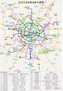 关注丨夜间公交送你安全回家 途径成都高新的3条线路已发车