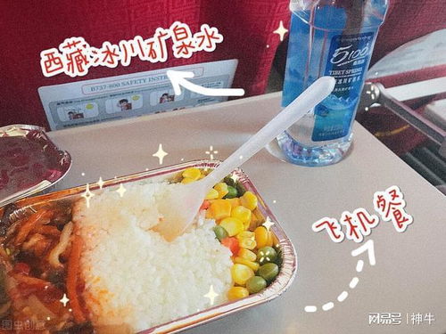 为什么有人说,坐飞机时最好不要要两份飞机餐