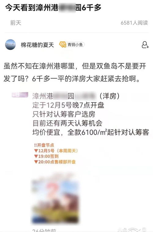 角美土拍崩盘,二手房要再跌个几千块了 网友 快去抢漳州港的6千洋房