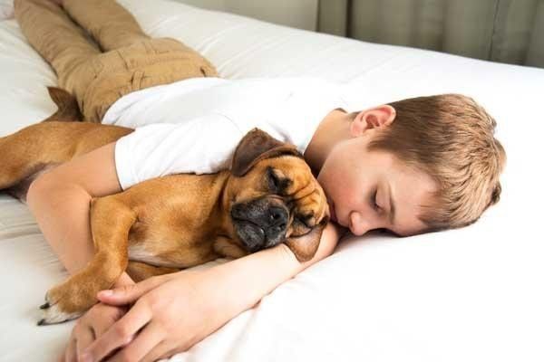 宠物狗可以和人在一起睡觉吗 