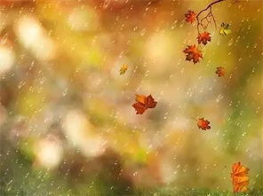 关于秋雨声的诗句古诗
