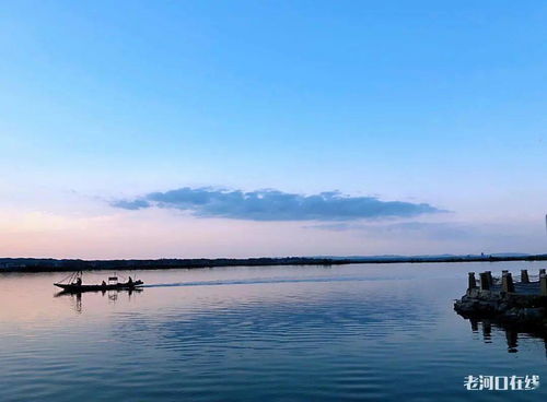 海阔天空不知处是什么生肖