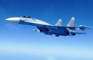 俄国防部称俄战机在黑海上空拦截美侦察机 