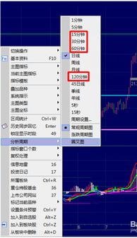 怎样添加120分钟K线图