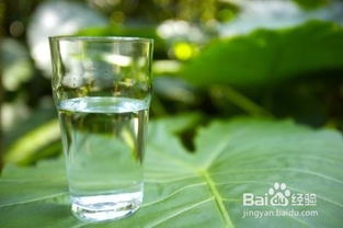专家建议每天饮水1500ml(人体一天需喝多少毫升水)(一天喝1500ml的水够了吗)