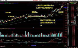 中国都有哪些涨停板敢死队