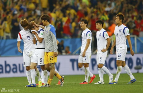 韩国比利时巴西世界杯,韩国队巴西世界杯