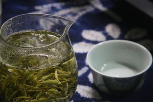 老鹰茶是什么树的叶子,老鹰茶属于红茶还是属于绿茶？