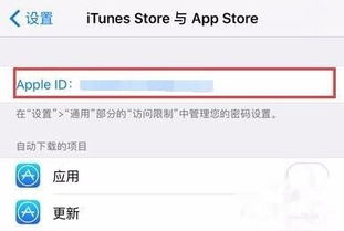 怎么将app store的语言改成中文