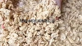 奶枣加工流水线 奶枣制作加工设备