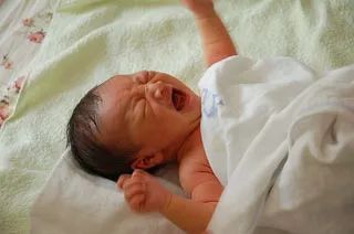 去年,我市出生了3.29万人,其中二胎宝宝 真是想不到啊 