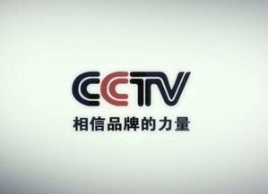 中视易佰 北京 文化传媒公司怎么样 做央视广告的 