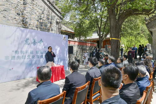 天泰山慈善寺(想知道 北京市 从清华园到天泰山慈善寺怎么坐公交)