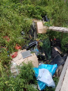 韶山市区工贸市场内隐藏露天垃圾场影响环境 