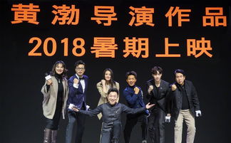 黄渤导演电影长啥样 片名暂定 大富翁 ,今年暑期上映 