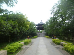 秋枫旅游系列之三十四 南京八字山公园