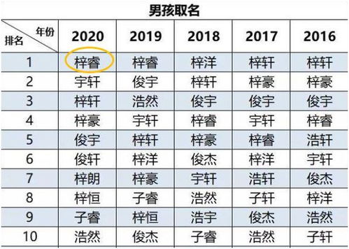 唐姓男孩取名大全2023年份