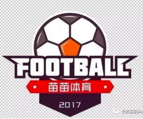 长沙足球俱乐部有哪些,长沙足球俱乐部有哪些名字