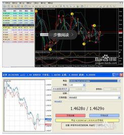 octafx建议使用多少倍杠杆？